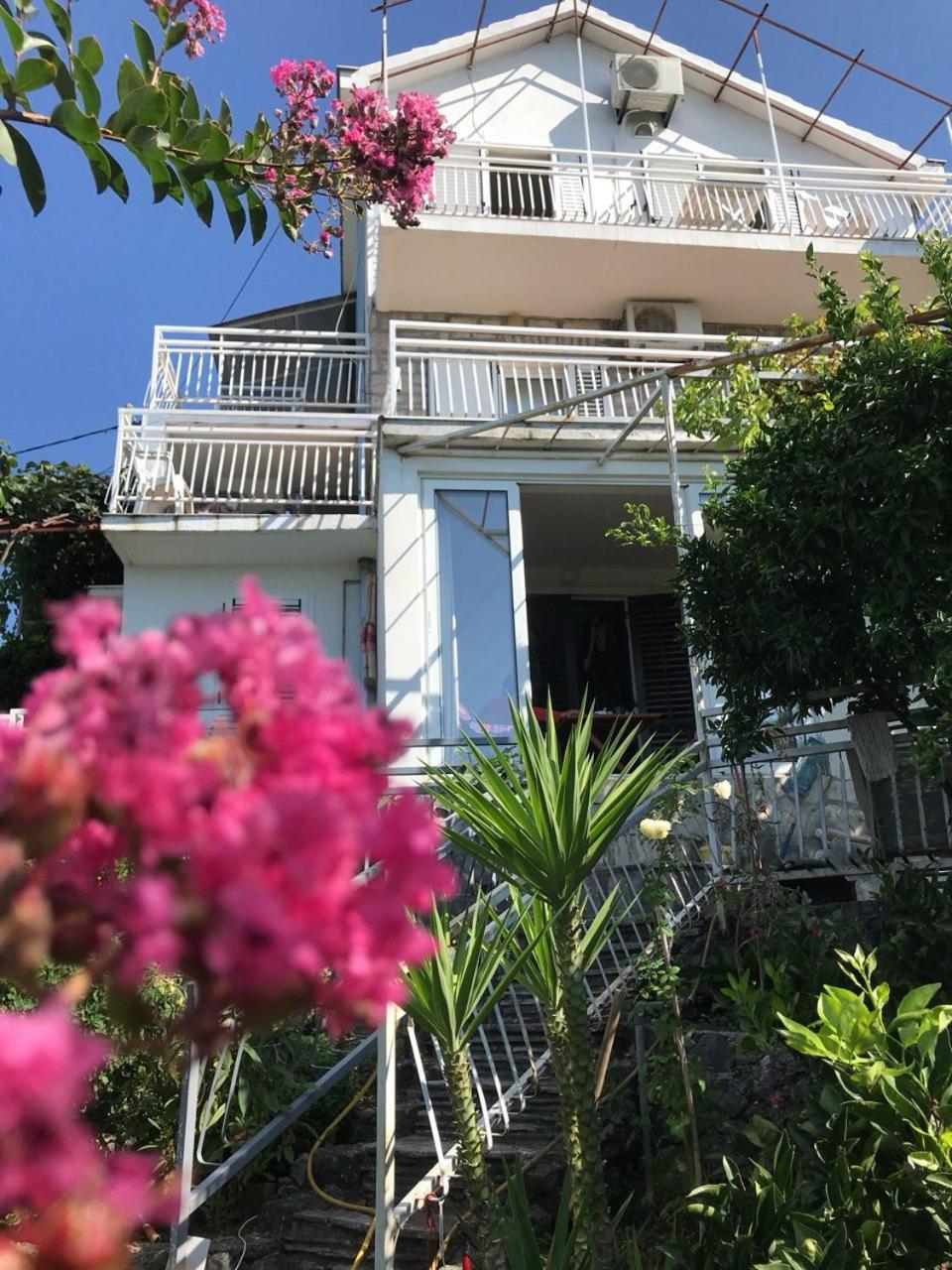 Magnificent Views Apartment 赫尔采格诺维 外观 照片